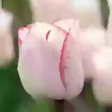 Hugs & Kisses